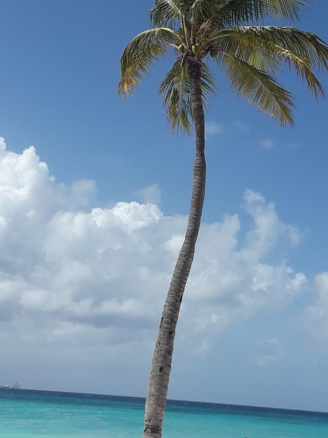 Aruba Harmony Apartments Oranjestad Dış mekan fotoğraf