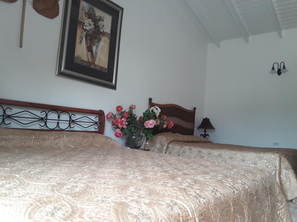 Aruba Harmony Apartments Oranjestad Dış mekan fotoğraf