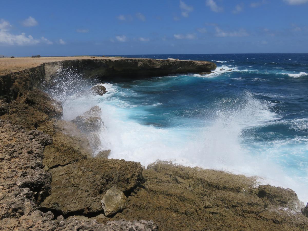 Aruba Harmony Apartments Oranjestad Dış mekan fotoğraf