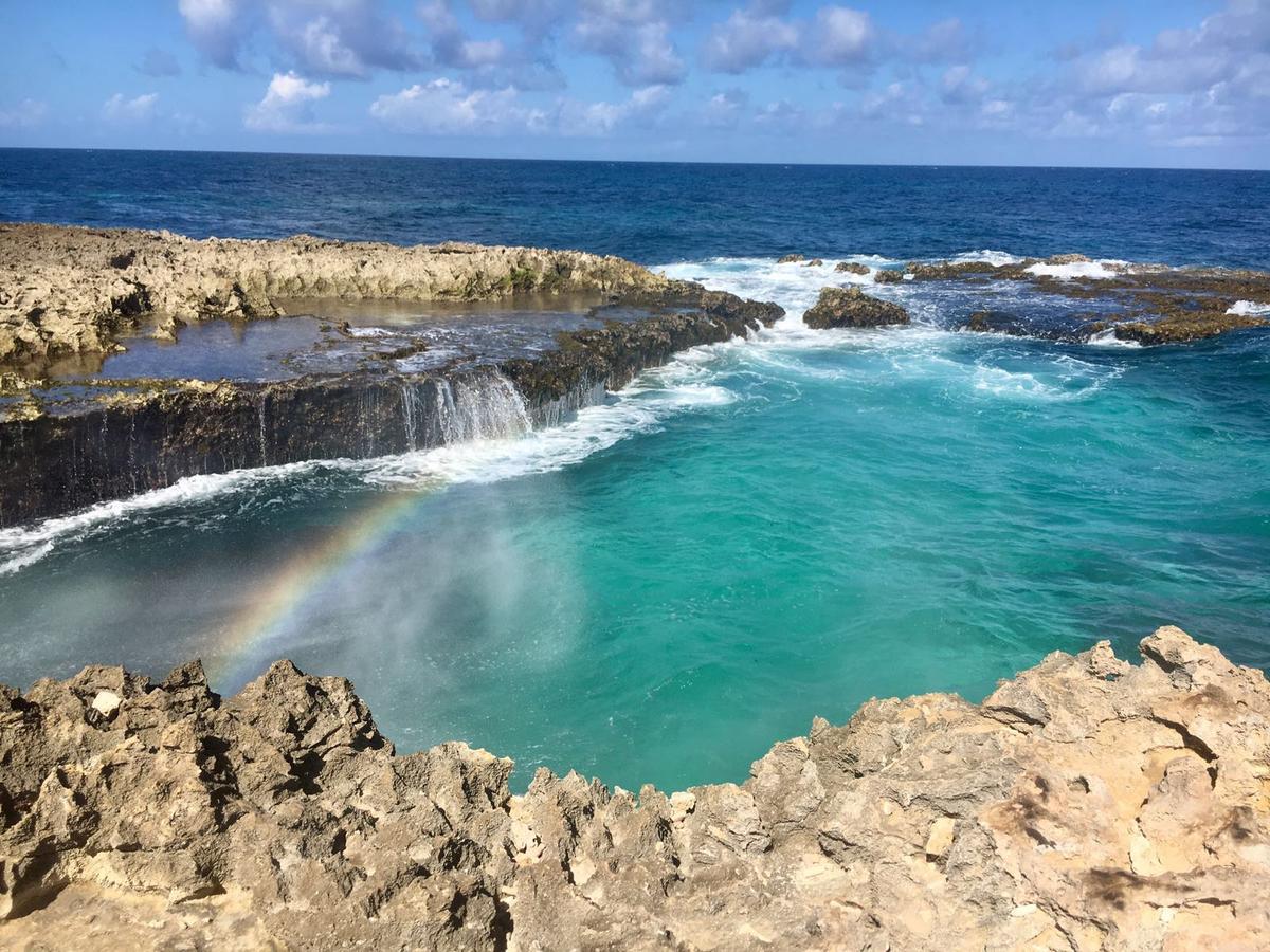 Aruba Harmony Apartments Oranjestad Dış mekan fotoğraf