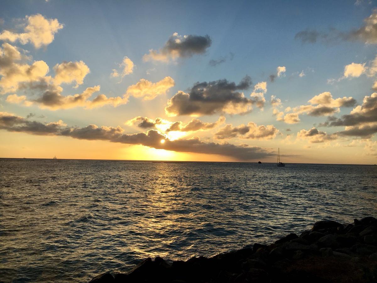 Aruba Harmony Apartments Oranjestad Dış mekan fotoğraf