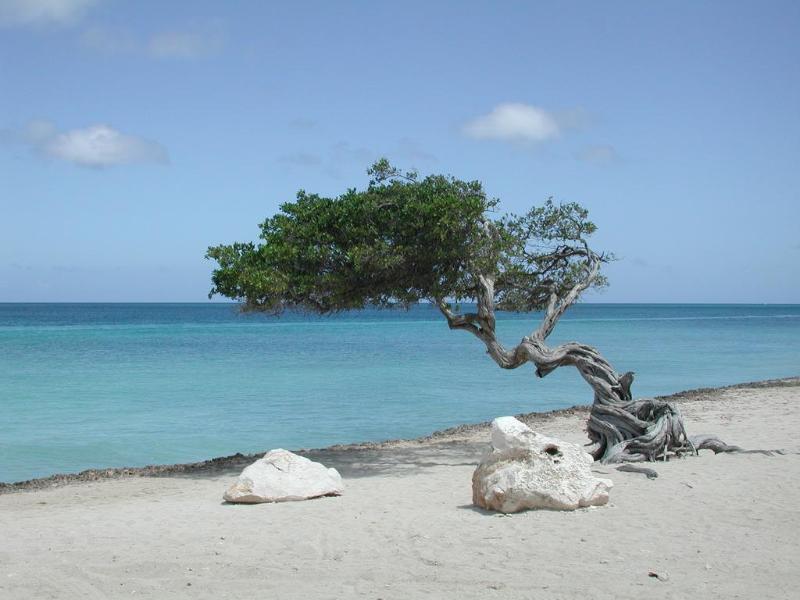 Aruba Harmony Apartments Oranjestad Dış mekan fotoğraf